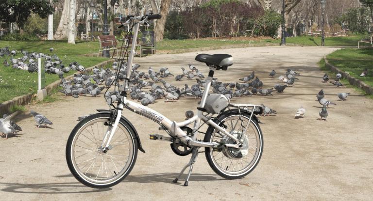Fotomuntatge-Dahon Parc Ciutadella